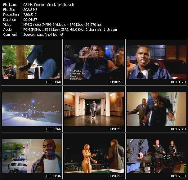Mr. Pookie video ”Crook for Life” from dvd ”Promo Only Urban Video April 2009” 