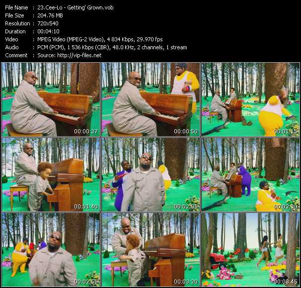 Cee-Lo video ”Getting' Grown” from dvd ”Promo Only Canada Hot Video August 2002” 