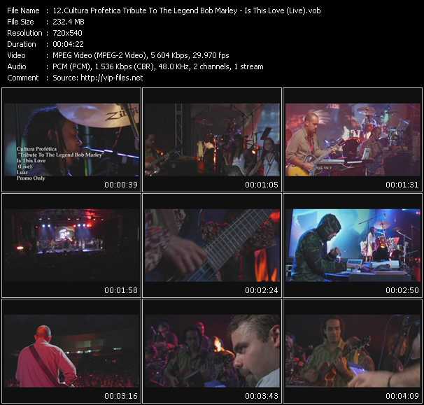 Cultura Profetica Tribute To The Legend Bob Marley video ”Is This Love (Live)” from dvd ”Promo Only Express Video October 2007 Week 4” 