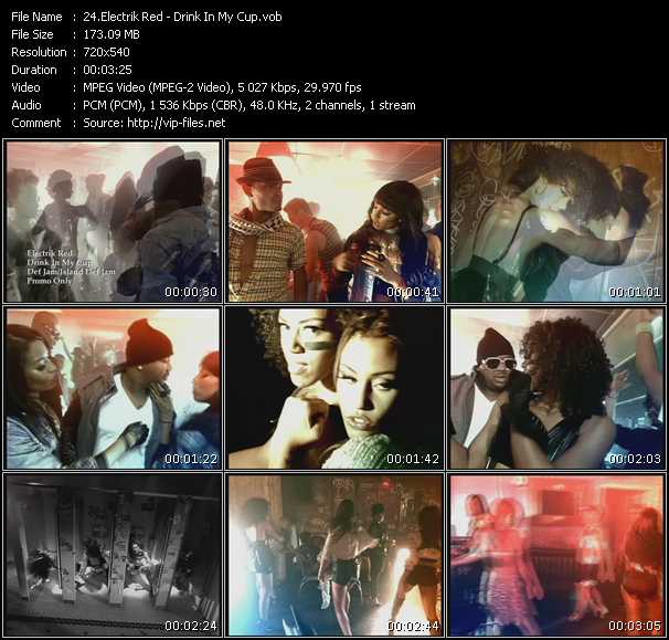 Electrik Red video ”Drink In My Cup” from dvd ”Promo Only Hot Video June 2009” 