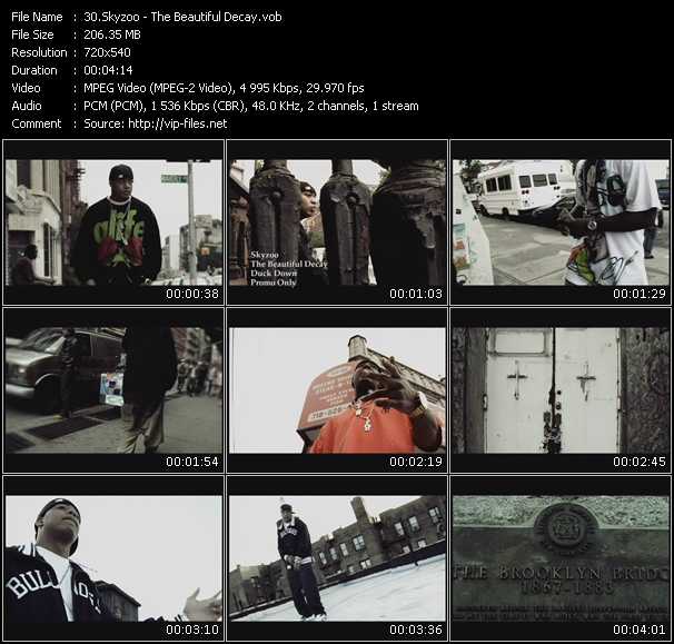 Skyzoo video ”The Beautiful Decay” from dvd ”Promo Only Urban Video December 2009” 
