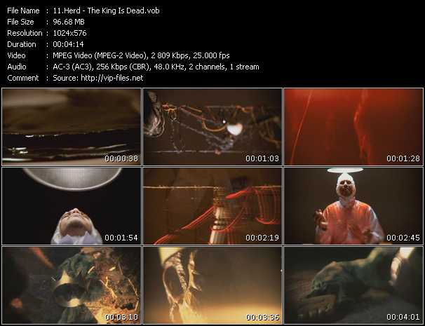 Herd video ”The King Is Dead” from dvd ”Triple J. Hottest 100 Vol.16” 