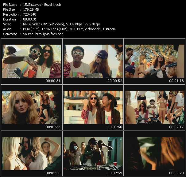 Shwayze video ”Buzzin'” from dvd ”Promo Only Express Video April 2008 Week 5” 