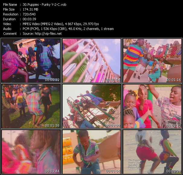 Puppies video ”Funky Y-2-C” from dvd ”Urban Video September” 