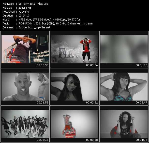 Party Boyz video ”Flex” from dvd ”Promo Only Urban Video June 2010” 