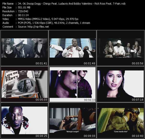Snoop Dogg - Chingy Feat. Ludacris And Bobby Valentino - Rick Ross Feat. T-Pain video ”Life Of Da Party - Gimme Dat - The Boss” from dvd ”Promo Only Urban Video September 2008” 
