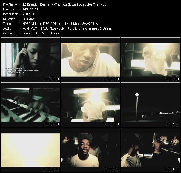 Brandun Deshay video ”Why You Gotta Zodiac Like That” from dvd ”Screenplay VJ-Pro Urban Vision April 2010” 
