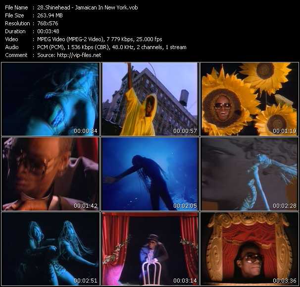 Shinehead video ”Jamaican In New York” from dvd ”MixMash Reggae Vol.2” 