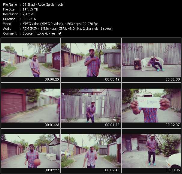 Shad video ”Rose Garden” from dvd ”Screenplay VJ-Pro Urban Vision November 2010” 