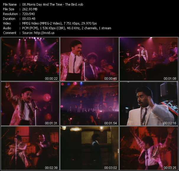 Morris Day And The Time video ”The Bird” from dvd ”Telegenics May 1985. Volume Three. Number 26B” 